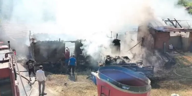 Ölümle sonuçlanan kazanın faili jandarmanın takibiyle yakalandı