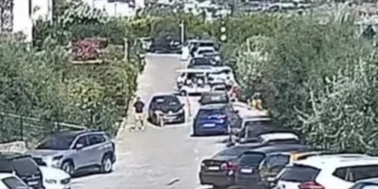 Şile’de suç örgütüne operasyon: 19 şüpheli yakalandı