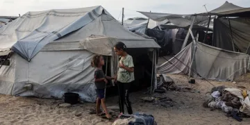 Şile’de suç örgütüne operasyon: 19 şüpheli yakalandı