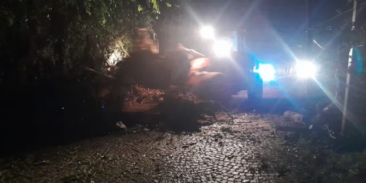 Muş’ta trafik kazası: 1 kişi yaralandı