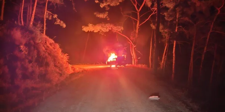 Muş’ta trafik kazası: 1 kişi yaralandı
