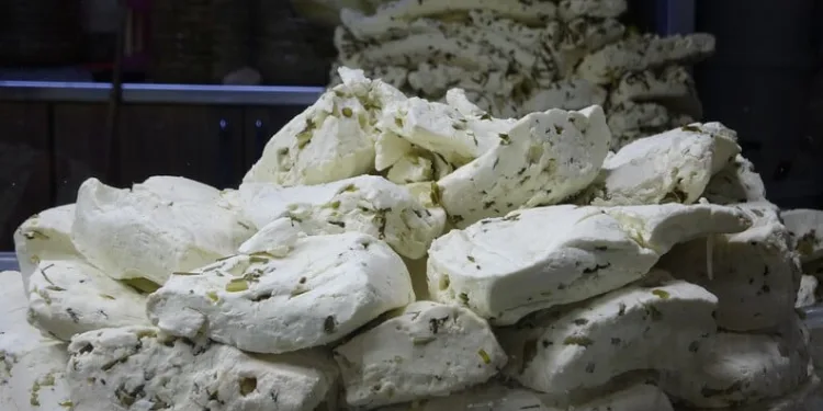 Mahalle sakinleri Geleneksel Köy Buluşması’nda bir araya geldi