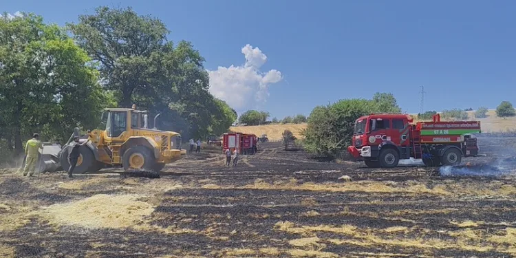 Kırklareli’nde anızlık alanda çıkan yangın ağaçlık alana sıçradı: Avrupa otoyolu ulaşıma kapandı