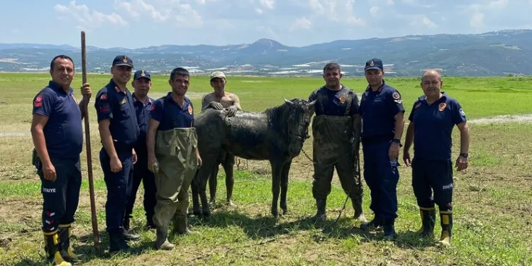 Kırklareli’nde anızlık alanda çıkan yangın ağaçlık alana sıçradı: Avrupa otoyolu ulaşıma kapandı
