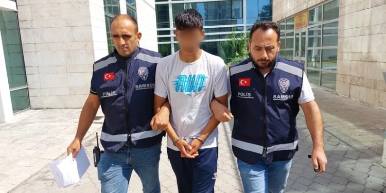 Kırklareli’nde anızlık alanda çıkan yangın ağaçlık alana sıçradı: Avrupa otoyolu ulaşıma kapandı