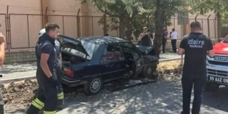 Otomobilin çarptığı yavru köpek için mahalleli seferber oldu