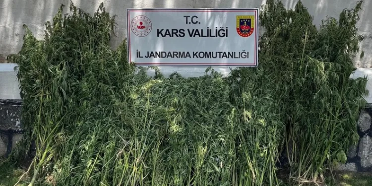 Otomobilin çarptığı yavru köpek için mahalleli seferber oldu