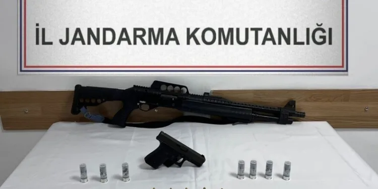 Otomobilin çarptığı yavru köpek için mahalleli seferber oldu