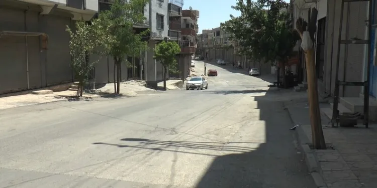 Otomobilin çarptığı yavru köpek için mahalleli seferber oldu