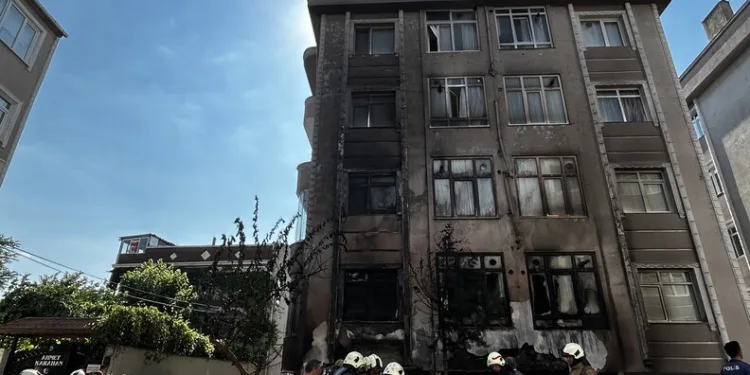 Otomobilin çarptığı yavru köpek için mahalleli seferber oldu