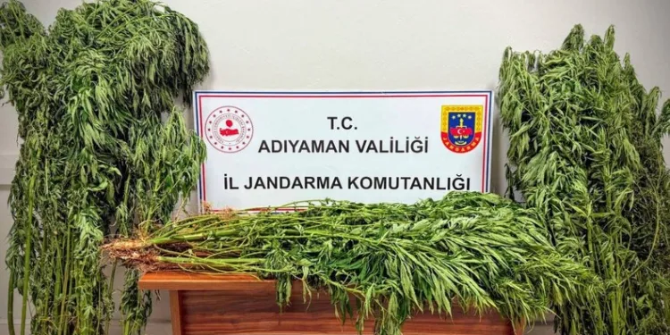 Yalova’da trafik kazasında ölen genç son yolculuğuna uğurlandı