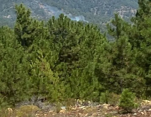 Yalova’da trafik kazasında ölen genç son yolculuğuna uğurlandı