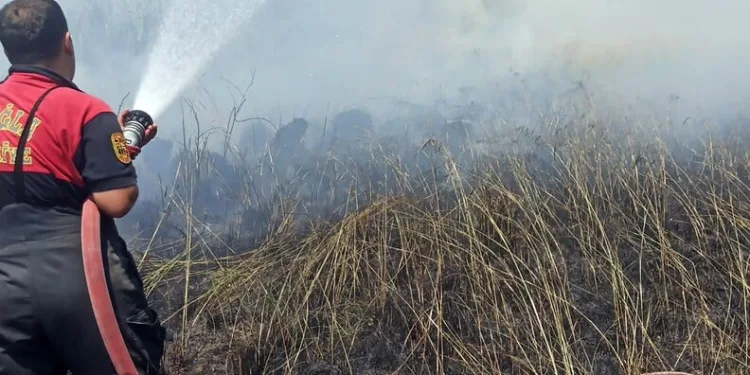 Yalova’da trafik kazasında ölen genç son yolculuğuna uğurlandı