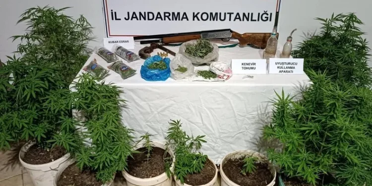 Kırklareli’de orman yangını kısa sürede söndürüldü