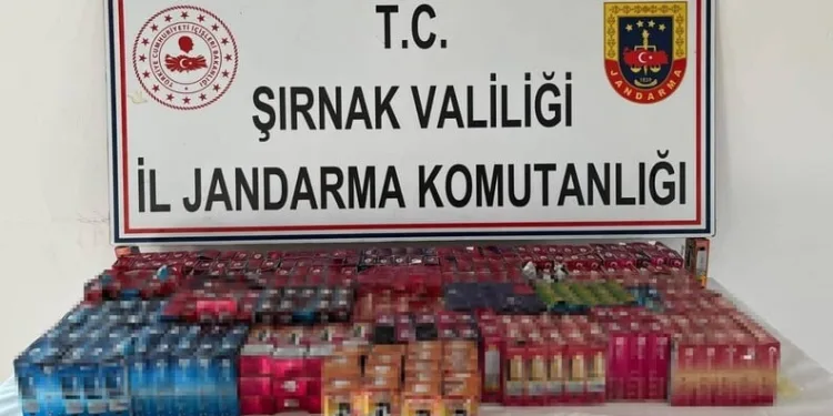 Kırklareli’de orman yangını kısa sürede söndürüldü