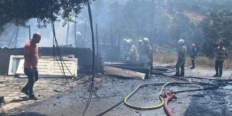 Kırklareli’de orman yangını kısa sürede söndürüldü
