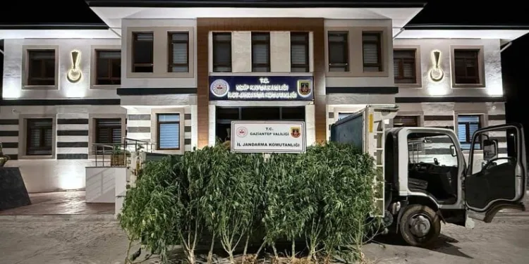 Bayburt’ta trafik kazası: 1 kişi hayatını kaybetti