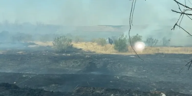 Şüpheli çanta ekipleri harekete geçirdi, sahibi son anda geldi