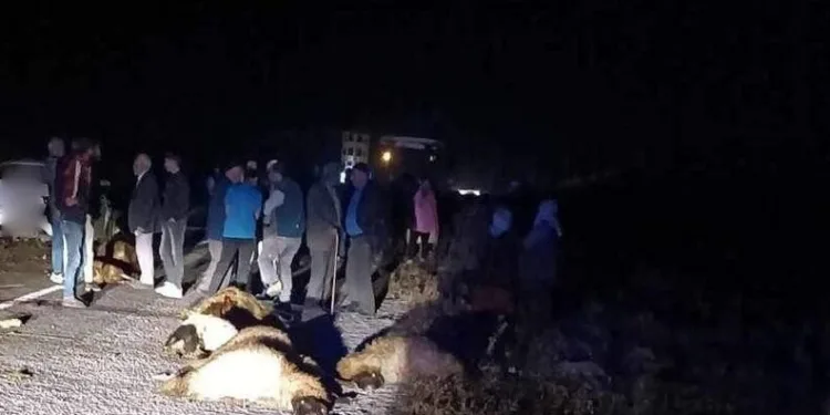 Erzincan’da otomobil koyun sürüsüne daldı