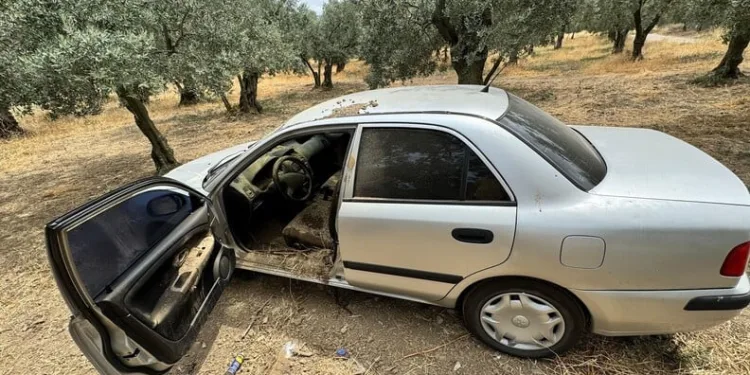 Erzincan’da otomobil koyun sürüsüne daldı