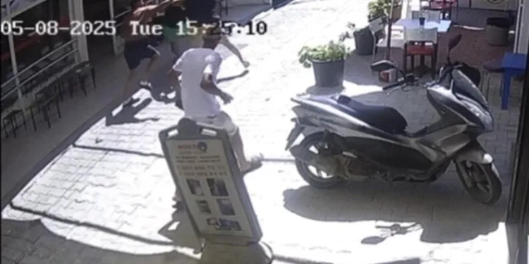 Erzincan’da otomobil koyun sürüsüne daldı