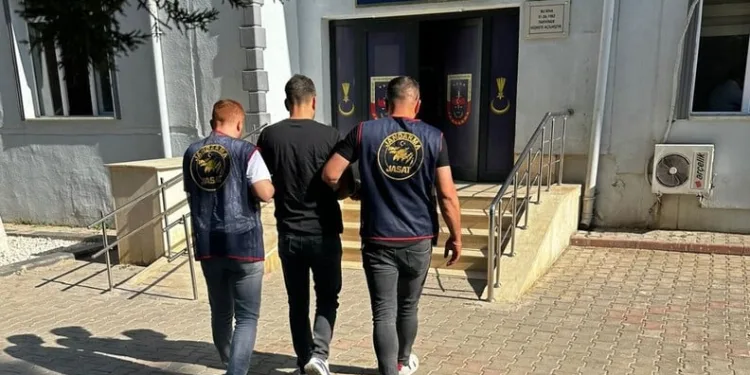 Erzincan’da otomobil koyun sürüsüne daldı