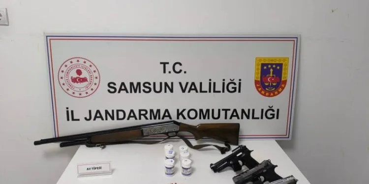 Erzincan’da otomobil koyun sürüsüne daldı
