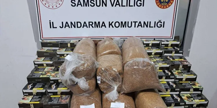 Erzincan’da otomobil koyun sürüsüne daldı