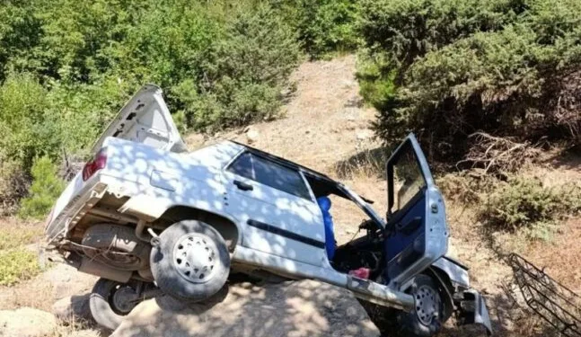 Erzincan’da otomobil koyun sürüsüne daldı