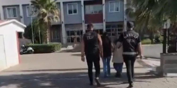 Erzincan’da otomobil koyun sürüsüne daldı