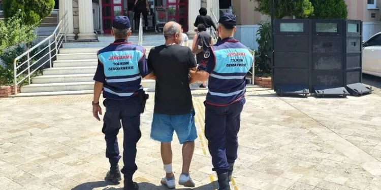 Erzincan’da otomobil koyun sürüsüne daldı