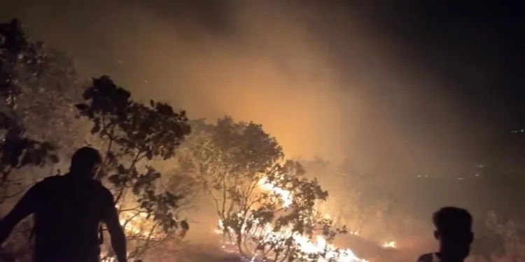 Adıyaman’da alacak verecek kavgası: 3 yaralı