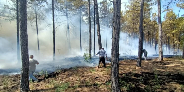 Gevaş’ta zincirleme kaza: 1 yaralı