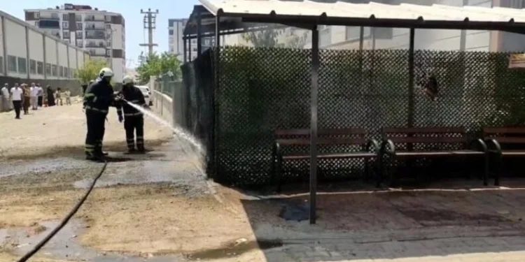 Gevaş’ta zincirleme kaza: 1 yaralı