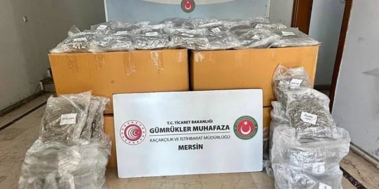 Gevaş’ta zincirleme kaza: 1 yaralı