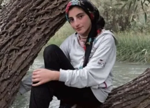 Gevaş’ta zincirleme kaza: 1 yaralı