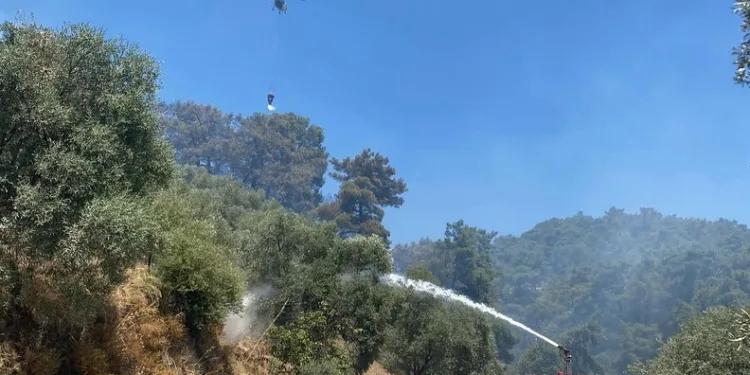 Hasar gören camide inceleme yapmak isteyen vatandaş malzeme düşmesi sonucu öldü