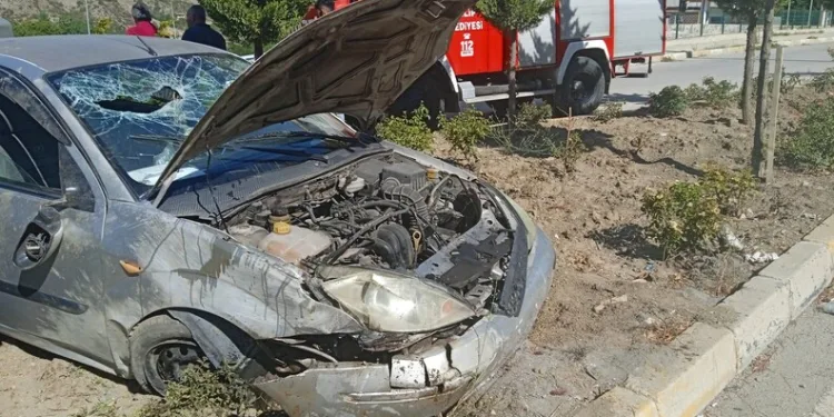 Osmaniye’de yasa dışı bahis operasyonu: 1 tutuklama