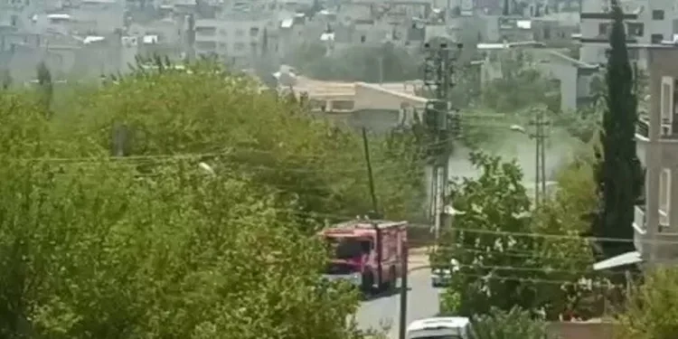 Osmaniye’de yasa dışı bahis operasyonu: 1 tutuklama