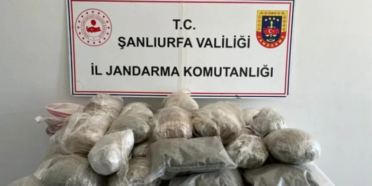 Osmaniye’de yasa dışı bahis operasyonu: 1 tutuklama