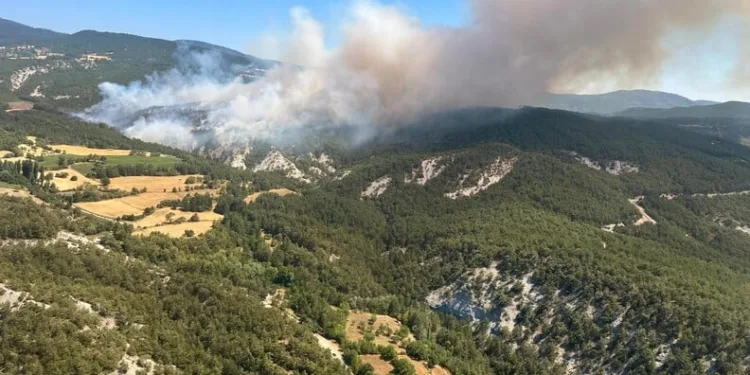 Osmaniye’de yasa dışı bahis operasyonu: 1 tutuklama