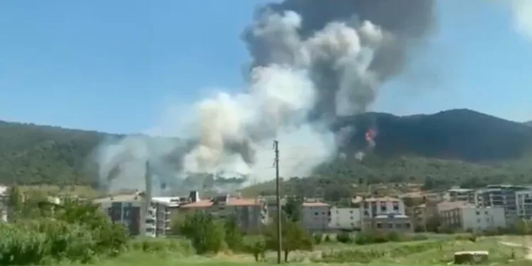 Osmaniye’de yasa dışı bahis operasyonu: 1 tutuklama