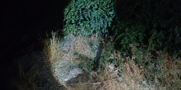 Çorum’da sokak ortasında silahlı saldırıya uğrayan adam bacağından yaralandı