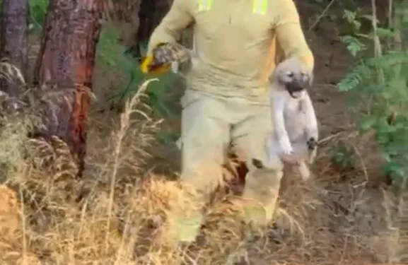 Çorum’da sokak ortasında silahlı saldırıya uğrayan adam bacağından yaralandı