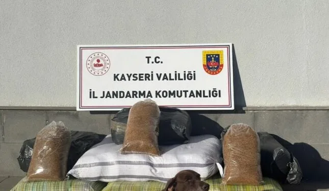 İsrailli emekli ve yedek savaş uçağı pilotları Gazze’nin işgaline yönelik planı protesto etti