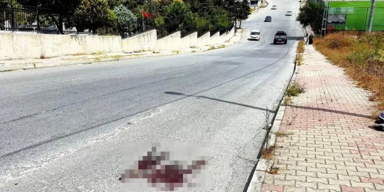 Araçta 25 kilogram kaçak tütünle yakalanan şüpheliye işlem yapıldı