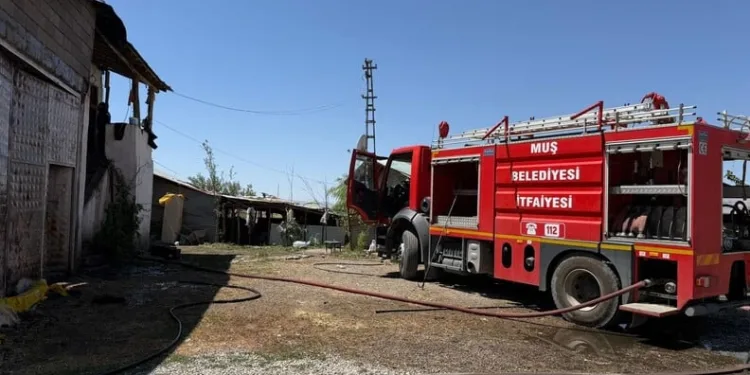 Araçta 25 kilogram kaçak tütünle yakalanan şüpheliye işlem yapıldı
