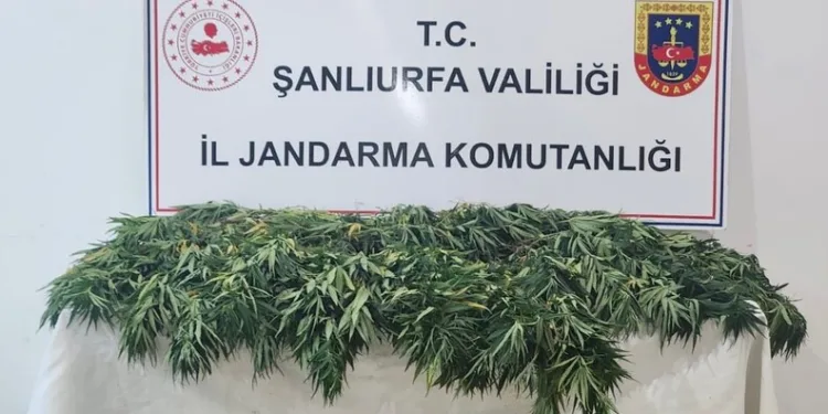 Araçta 25 kilogram kaçak tütünle yakalanan şüpheliye işlem yapıldı