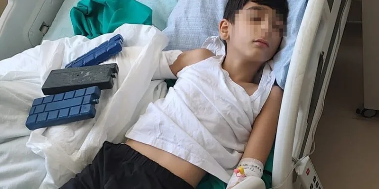 Antalya’da silah kaçakçılarına operasyon: 5 gözaltı