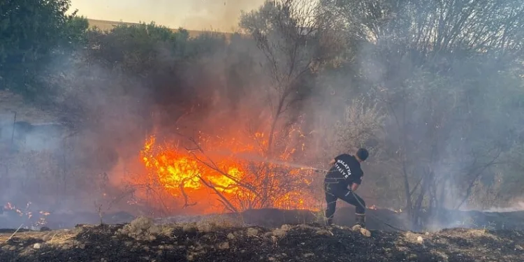 Antalya’da silah kaçakçılarına operasyon: 5 gözaltı